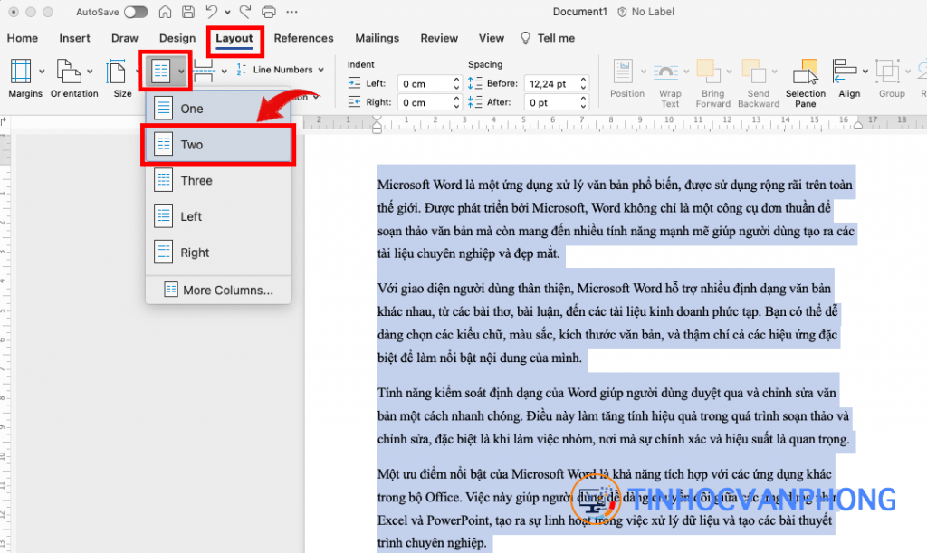 Hướng dẫn chi tiết về cách chia cột trong Word để tạo bố cục chuyên nghiệp - Ảnh 2