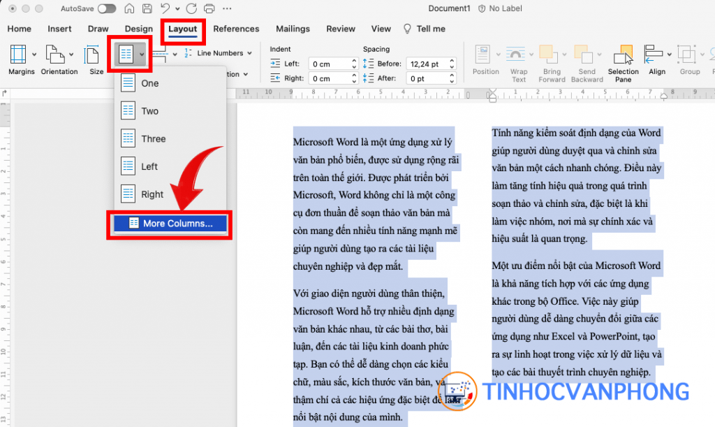Hướng dẫn chi tiết về cách chia cột trong Word để tạo bố cục chuyên nghiệp - Ảnh 4
