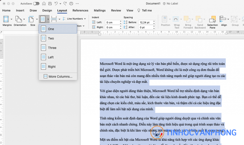 Hướng dẫn chi tiết về cách chia cột trong Word để tạo bố cục chuyên nghiệp - Ảnh 7