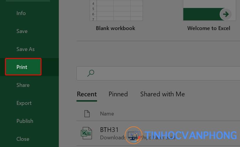 Hướng dẫn in nhiều trang tính trong Excel đồng thời - ảnh 4