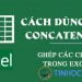 Cách sử dụng hàm CONCATENATE để nối chuỗi trong Excel - Ảnh 13