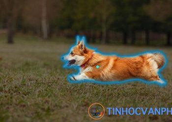 Segment Anything Model (SAM) – Một Bước Đột Phá Mới của Meta AI