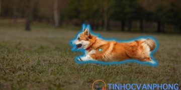 Segment Anything Model (SAM) – Một Bước Đột Phá Mới của Meta AI