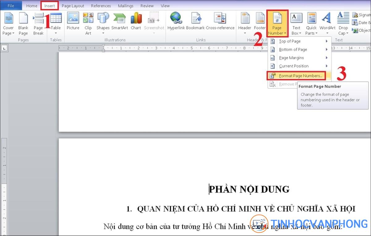 Chọn Insert > Page numbers > Format page numbers